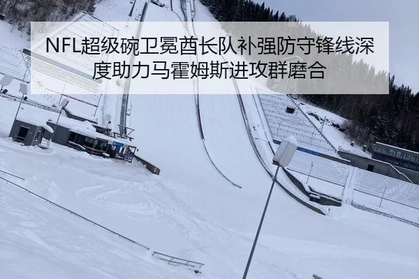 NFL超级碗卫冕酋长队补强防守锋线深度助力马霍姆斯进攻群磨合