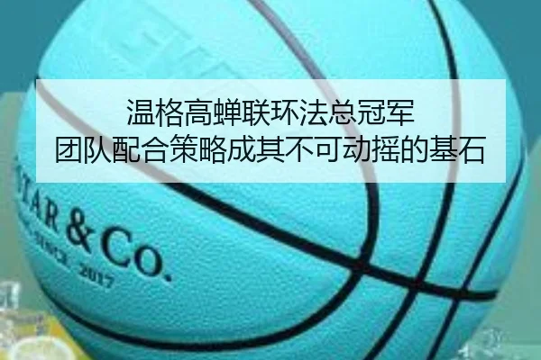 温格高蝉联环法总冠军 团队配合策略成其不可动摇的基石
