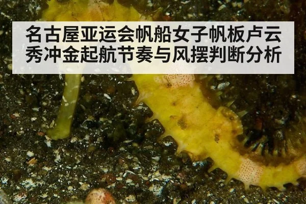 名古屋亚运会帆船女子帆板卢云秀冲金起航节奏与风摆判断分析 - Milan